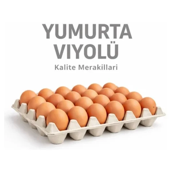 Kalite Meraklıları (50 Adet)30'lu Karton Yumurta Viyolü (50 Adet 17lbs)- Viyol Toptan Premium Kalite Yumurta Kutusu - Görsel 2