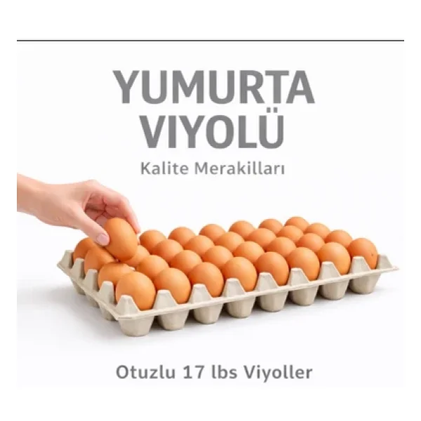 Kalite Meraklıları (17 Adet)30'lu Karton Yumurta Viyolü (17 Adet 17lbs)- Viyol Toptan Premium Kalite Yumurta Kutusu - Görsel 4
