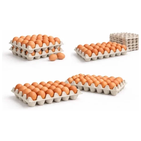 Kalite Meraklıları (50 Adet)30'lu Karton Yumurta Viyolü (50 Adet 17lbs)- Viyol Toptan Premium Kalite Yumurta Kutusu - Görsel 6
