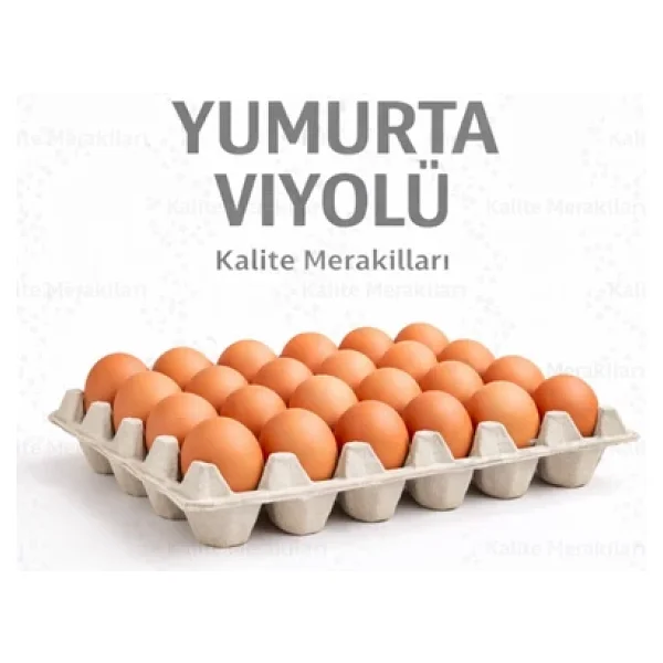 Kalite Meraklıları (50 Adet)30'lu Karton Yumurta Viyolü (50 Adet 17lbs)- Viyol Toptan Premium Kalite Yumurta Kutusu - Görsel 5