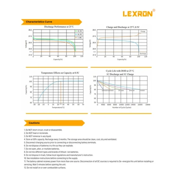 Lexron 100 Ah 25.6 V Lityum Akü - Görsel 7