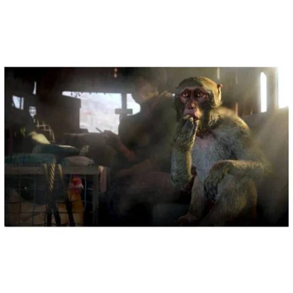 Far Cry 4 PS4 Oyunu - Görsel 3