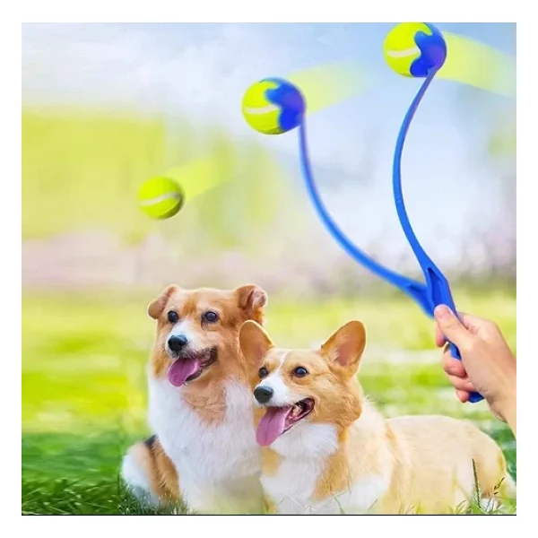 Tenis Toplu İnteraktif Fırlatıcı Top Atma Köpek Oyuncağı - Görsel 4