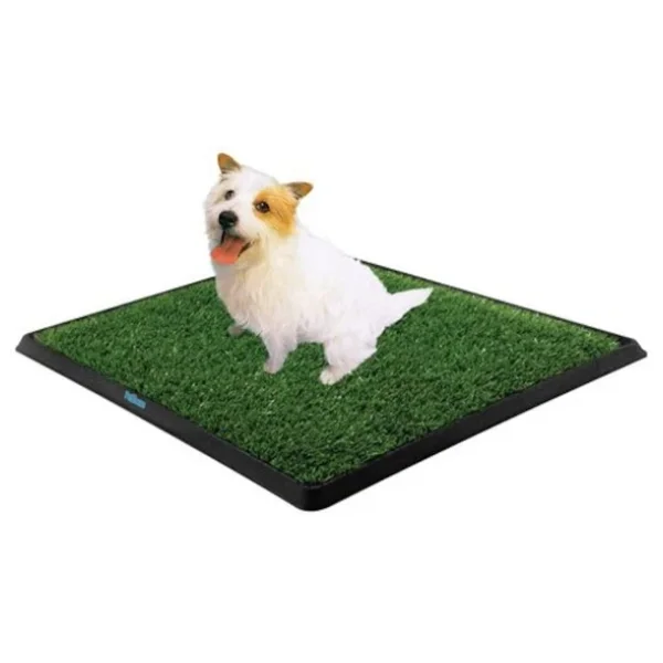 Köpek Tuvalet Eğitim Seti - Görsel 5