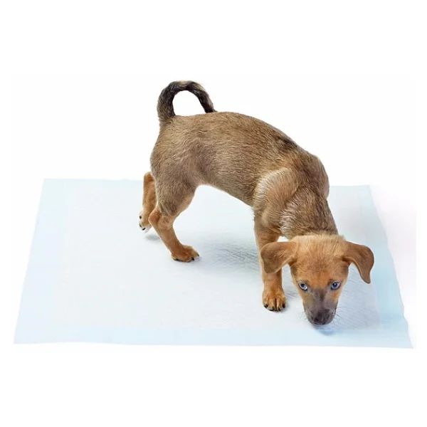 Yıkanabilir Köpek Çiş Pedi - 90 X 60 Cm - Görsel 4