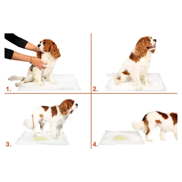 Yıkanabilir Köpek Çiş Pedi - 90 X 60 Cm - Görsel 2