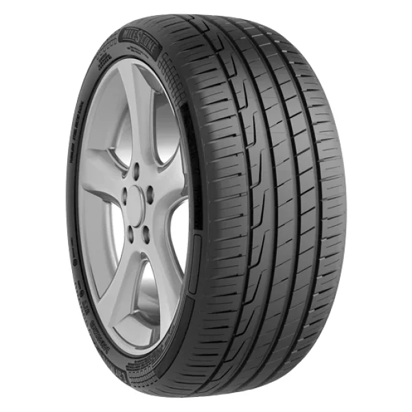 Milestone Carmile Sport 225/55 R17 101w Reinf. Yaz Lastiği - 2026 - Görsel 5