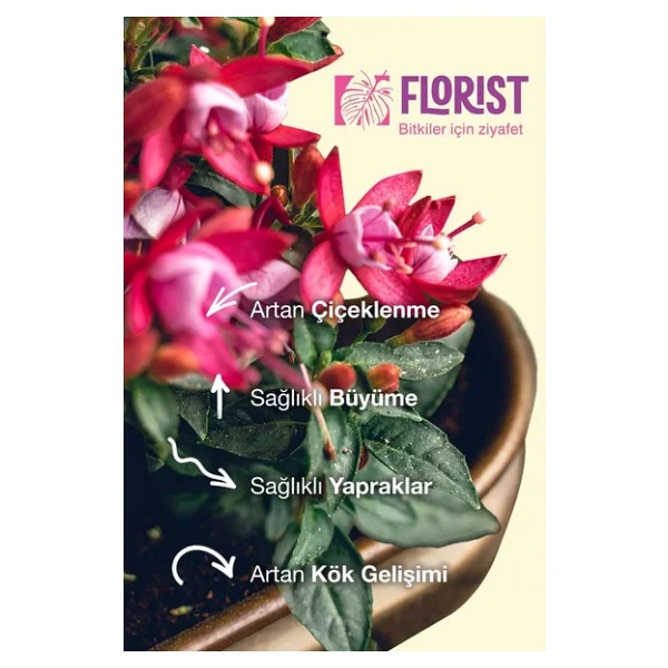 Florist Çiçekli Bitkiler Sıvı Konsantre Bitki Besini - Görsel 7