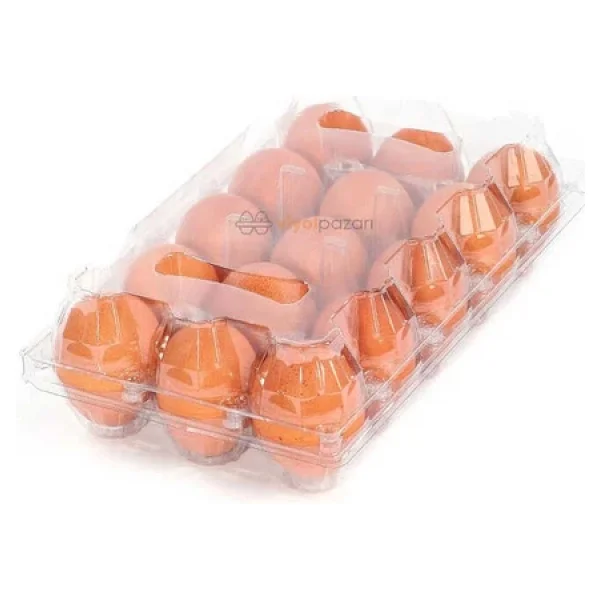 15li Plastik Yumurta Viyolü (100 Adet) - Görsel 2