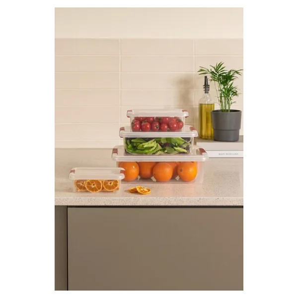 Porsima Fresh Org-466 4'lü Saklama Kabı - Görsel 3