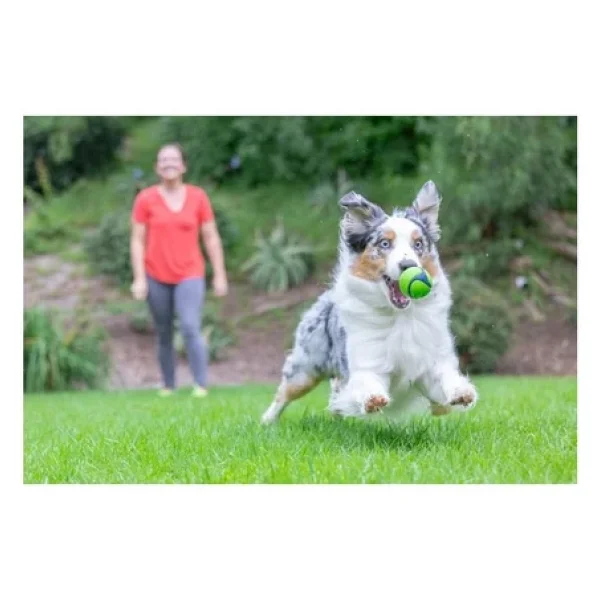 Chuckit! Sniff Fetch Fıstık Ezmesi Kokulu Köpek Oyun Topu ( M-Orta Boy) - Görsel 5