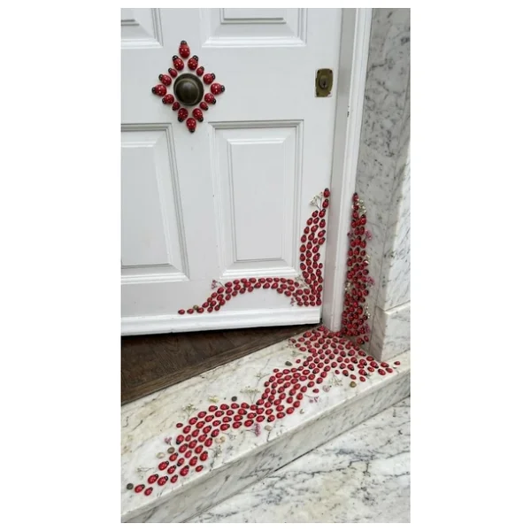 Mucit Home 50 Adet Uğur Böceği Mini Kapı Süsü Aile İsmine Özel Sayıda -Çok Amaçlı Kullanım - Görsel 3