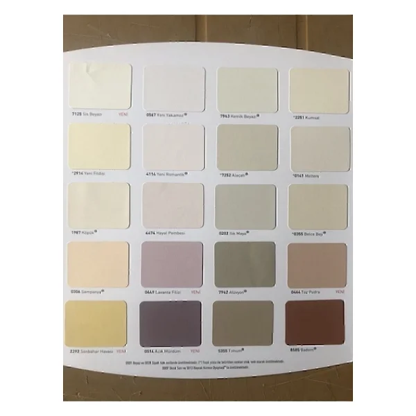 Dyo Beşyıldız Plastik Iç Cephe Duvar Boyası Buz Gümüşü 20kg/10kg/3,5kg - Görsel 5