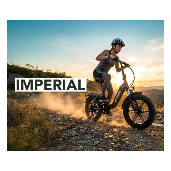 Mondial E-Bike Imperial (Mavi) - Görsel 6