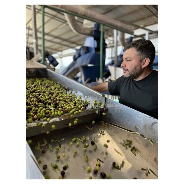 Zeytinbeyli Taşbaskı 10 Lt Natürel Sızma Soğuk Sıkım Zeytinyağı - Görsel 2
