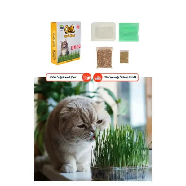 Quik Doğal Kedi Çimi Fileli Ve Kutulu Tüy Yumağı Önleyici - Görsel 4