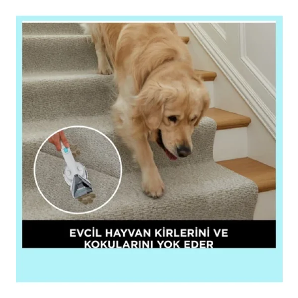 Shark Taşınabilir Halı Ve Koltuk Temizleme Makinesi M - Görsel 7