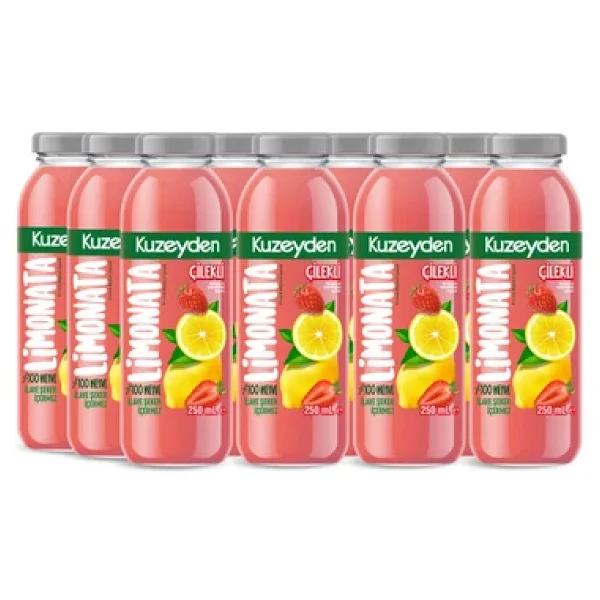 Çilekli Limonata 12x250ml İlave Şeker, Katkı Ve Koruyucu Madde İçermez 12 Adet %100 Meyve - Görsel 2