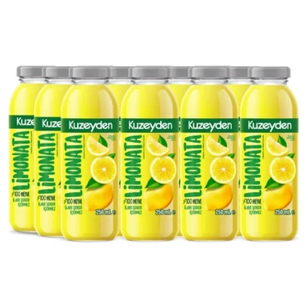 Limonata 12x250ml İlave Şeker, Katkı Ve Koruyucu Madde İçermez 12 Adet %100 Meyve - Görsel 2