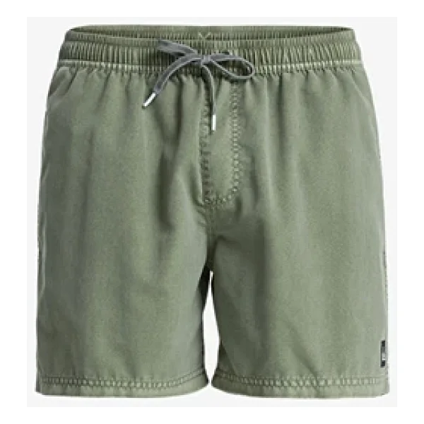 Quiksilver Everyday Surfwash Volley 15" Erkek Deniz Şortu - Görsel 4