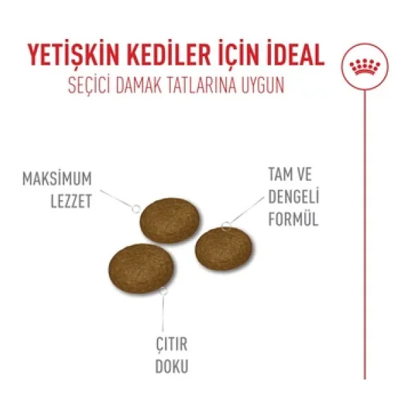 Royal Canin Exigent Savour Sensation 35/30 10 Kg Yetişkin Kedi Maması - Görsel 9