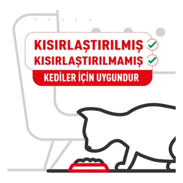 Royal Canin Exigent Savour Sensation 35/30 10 Kg Yetişkin Kedi Maması - Görsel 7