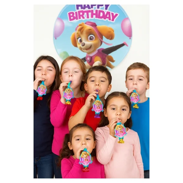 Kaynana Dili Paw Patrol Sky 6lı Parti Düdüğü - Görsel 4