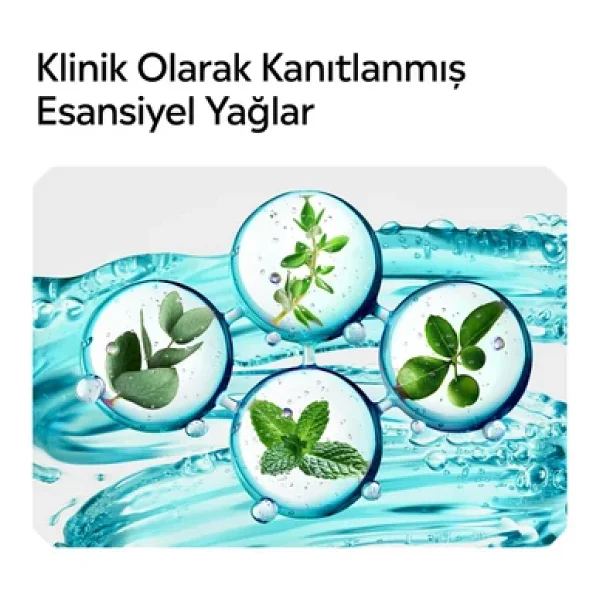 Listerine Cool Mint 500 Ml 2 Adet Gargara - Görsel 7