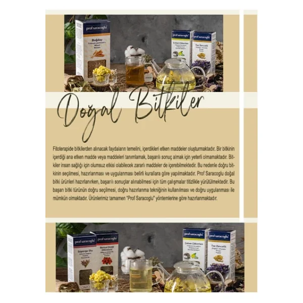 Prof Saracoğlu Toz Zerdeçal 135 Gr - Görsel 6