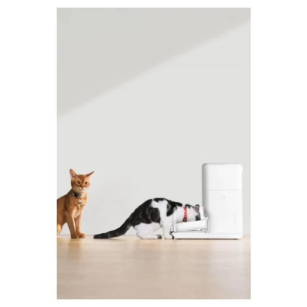 Dogness Kedi Köpek Otomatik Mama Kabı Pro 4 Litre - Görsel 5