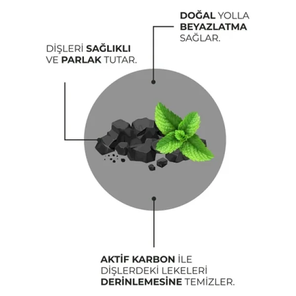 Agarta Hindistan Cevizi Özlü Aktif Karbon 100 Ml Florürsüz Diş Macunu - Görsel 6