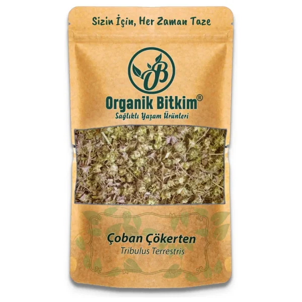 Organik Bitkim Çoban Çökerten (Tribulus) 1000 gr - Görsel 4