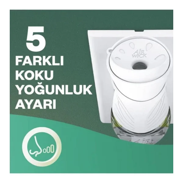 Air Wick Elektrikli Kit Oda Kokusu Turkuaz Sular 100 Gün Etkili Doğal Yağ Özleri İçerir - Görsel 8