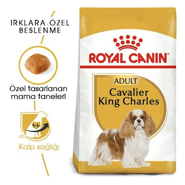 Royal Canin Cavalier King Charles 3 Kg Yetişkin Köpek Maması - Görsel 2