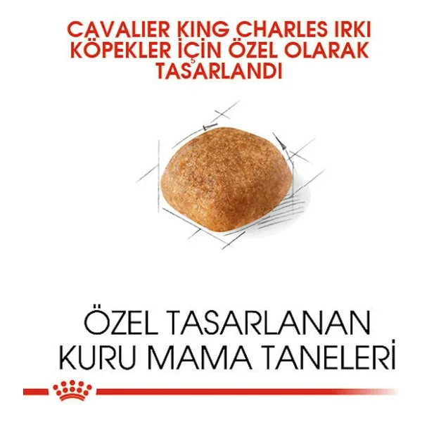 Royal Canin Cavalier King Charles 3 Kg Yetişkin Köpek Maması - Görsel 7