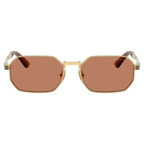 Versace Ve2297 100273 Gold-Brown Erkek Güneş Gözlüğü - Görsel 5
