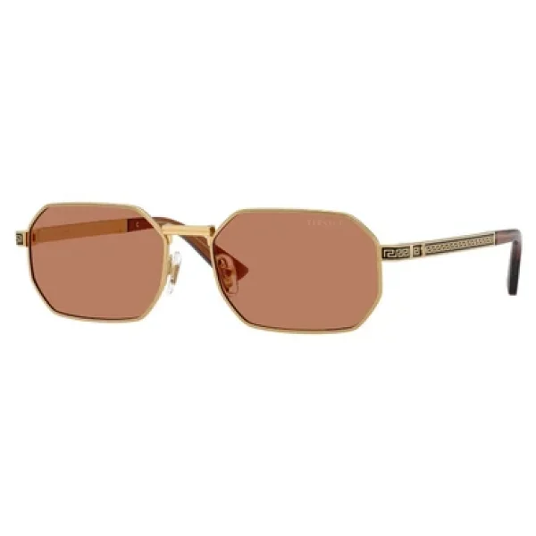 Versace Ve2297 100273 Gold-Brown Erkek Güneş Gözlüğü - Görsel 4