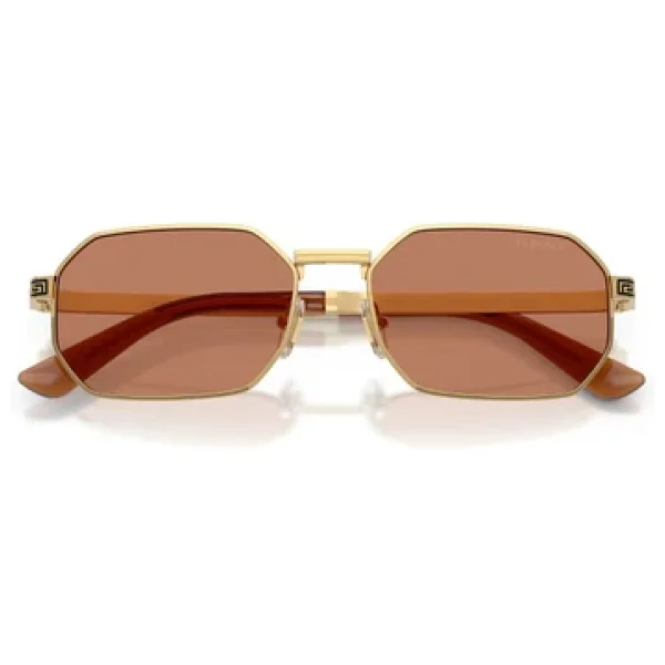 Versace Ve2297 100273 Gold-Brown Erkek Güneş Gözlüğü - Görsel 6
