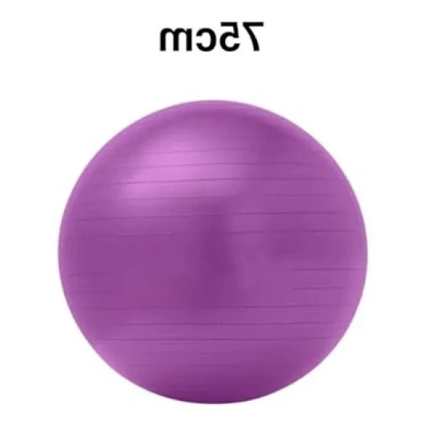 Markentegra 75 Cm Pilates Topu, Tek Ebat, Pılatestopuc, Mor - Görsel 5