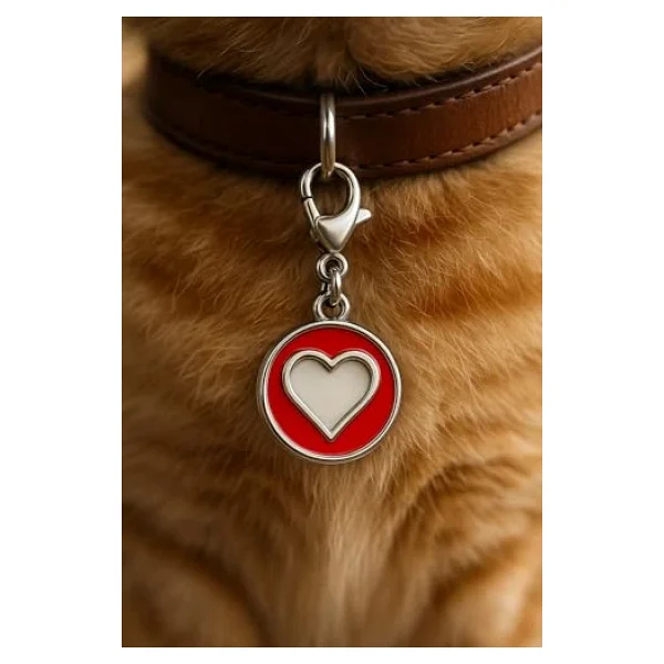 Busstier Kedi Köpek İsimlik Metal Pet Kimlik Rozeti İsim Telefon Yazılabilir Dayanıklı Suya Dayanıklı Tasmaya Uygun Evcil Hayvan Künyesi (Kırmızı Kalp) - Görsel 3