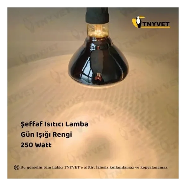 Tnyvet Şeffaf Renk / Infrared Civciv, Buzağı , Kuzu Isıtıcı Lamba - Ampul 250 Watt - Görsel 3