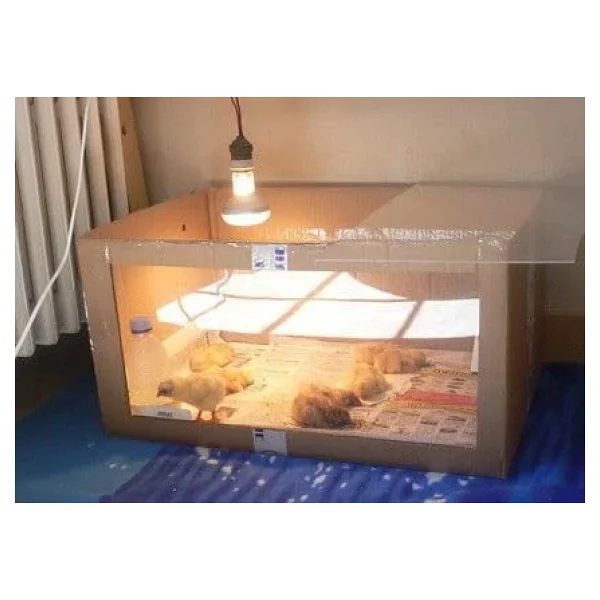 Tnyvet Şeffaf Renk / Infrared Civciv, Buzağı , Kuzu Isıtıcı Lamba - Ampul 250 Watt - Görsel 5
