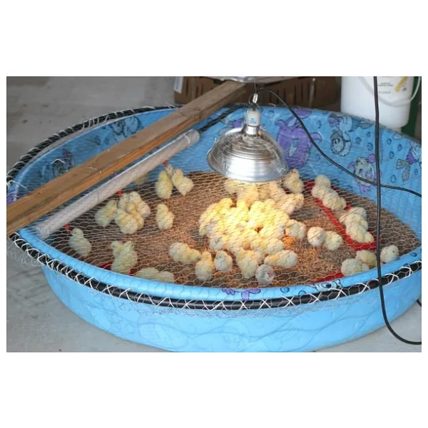 Tnyvet Şeffaf Renk / Infrared Civciv, Buzağı , Kuzu Isıtıcı Lamba - Ampul 250 Watt - Görsel 4