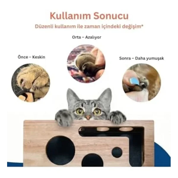 Reyo Pet Kedikür Kedi Tırmalama Ve Oyun Kutusu - Tırnak Törpüleyici İnteraktif Kedi Oyuncağı - Görsel 9