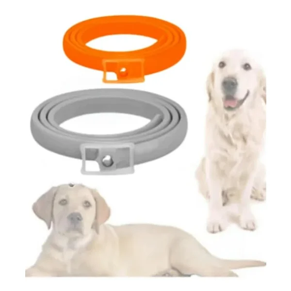 Mucit Home Köpek Pire Ve Bit Kovucu Engelleyeci Tasma Boyunluk 62 Cm - Görsel 3