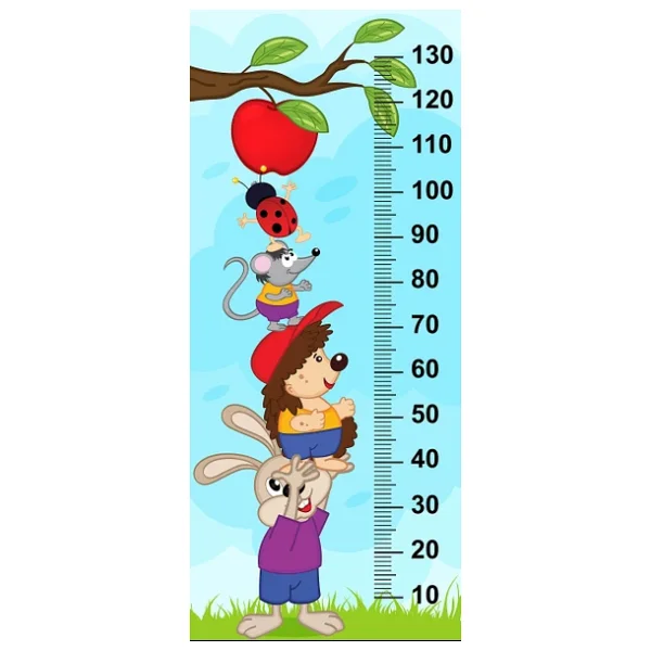 Çocuk Odası Bebek Odası Boy Ölçer Boy Cetveli Sticker Hayvanlar Elma - Görsel 5