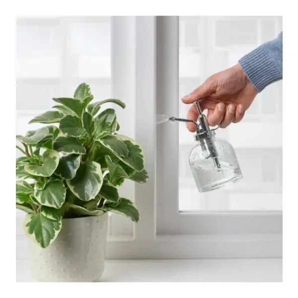 Ikea Bitki Sulama Şişesi 25 Cl 16 Cm Sulama Sprey Şişesi Saksı Çiçek Bitki Bahçe Cam Sulama Kabı Şişesi - Görsel 3