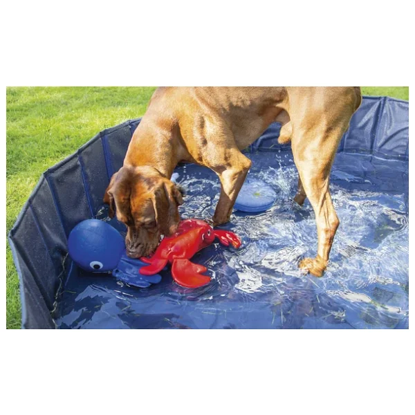 Karlie Crabsy 521734 Neopren Köpek Oyuncak L 30 Cm W 23 Cm H 9 Cm Kırmızı - Görsel 3