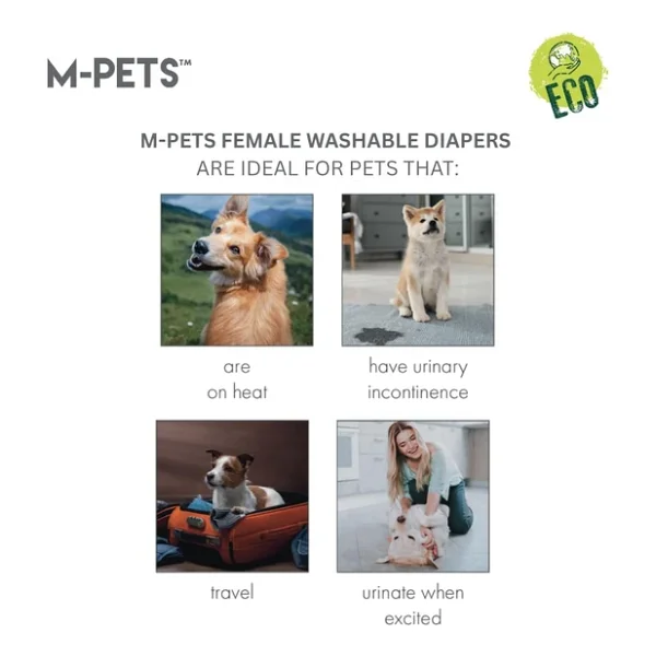 M-Pets Dişi Köpekler İçin Yıkanabilir Külot (S) - Görsel 6