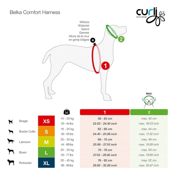 Curli Belka Comfort XS Köpek Göğüs Tasması - Siyah - Görsel 10